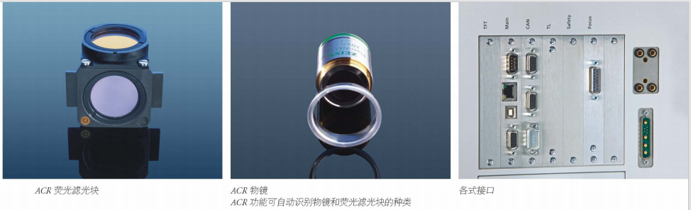 screenshot_2024-12-02_16-52-20.png
